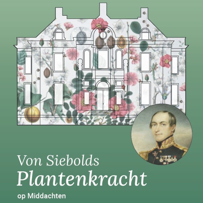 Audiotour Von Siebold